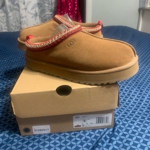 NEVER WORN NWT Women’s Tazz Ugg Slippers